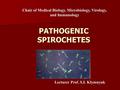 PATHOGENIC SPIROCHETES Chair of Medical Biology, Microbiology, Virology, and Immunology Lecturer Prof. S.I. Klymnyuk.