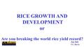 RICE GROWTH AND DEVELOPMENT or Are you breaking the world rice yield record? Jim Hill UC Davis.