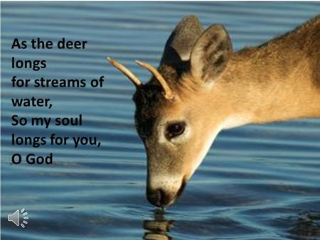 As the deer longs for streams of water, So my soul longs for you, O God.