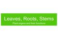 Leaves, Roots, Stems Plant organs and their functions.