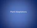 Plant Adaptations. What does a plant need to survive? Water - H2O Sunlight - solar radiation A way to harvest the sun’s energy - pigments Carbon Dioxide.