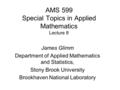 AMS 599 Special Topics in Applied Mathematics Lecture 8 James Glimm Department of Applied Mathematics and Statistics, Stony Brook University Brookhaven.