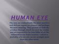 The eyes are undoubtedly the most sensitive and delicate organs we possess, and perhaps the most amazing. They present us with the window through which.