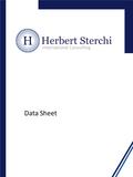 International Consulting Data Sheet. 1 Program Management for International Headquarters (IHQ) Why does a company go International ? Increase of business.