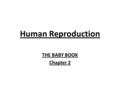 Human Reproduction THE BABY BOOK Chapter 2.