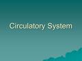 Circulatory System. What does the transport system do?  Carries O 2, CO 2, nutrients, hormones, wastes, cells of the immune system  Regulates body temp.