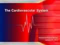 Advanced Honors Biology January 31, 2012 The Cardiovascular System.