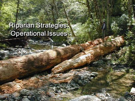 Riparian Strategies: Operational Issues. Purpose: Physical requirements and limitations of logging systems when harvesting in riparian areas Physical.