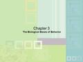 Chapter 3 The Biological Bases of Behavior. n Hardware:  Glia – structural support and insulation  Neurons – communication Soma – cell body Dendrites.