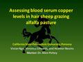 Assessing blood serum copper levels in hair sheep grazing alfalfa pasture California State Polytechnic University, Pomona Vivian Ngo, Veronica Edwards,