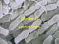 Chapter 19 Bacteria & Viruses. I. Bacteria Are ________________________-lack a nucleus and have few organelles Much smaller than eukaryotes Eubacteria-larger.