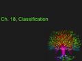 Ch. 18, Classification. Finding Order In Diversity Biologists have identified 1.5 million species, and they estimate 2-100 million species have yet to.