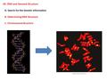 VII. DNA and Genome Structure A. Search for the Genetic Information B. Determining DNA Structure C. Chromosome Structure.