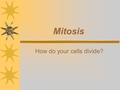 Mitosis How do your cells divide? Division of the Cell A. Cell division – the process by which a cell divides into two new daughter cells. B. Before.