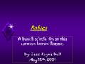 Rabies A Bunch of Info. On on this common known disease. By: Jessi Jayne Bull May 16 th, 2001.