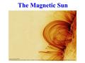 The Magnetic Sun. What is the Sun? The Sun is a Star, but seen close-up. The Stars are other Suns but very far away.