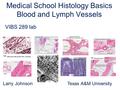 Medical School Histology Basics Blood and Lymph Vessels VIBS 289 lab Larry Johnson Texas A&M University.