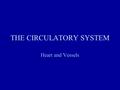 THE CIRCULATORY SYSTEM Heart and Vessels. Basic Structure of Circulatory System Tunica intima –Endothelium supported by basement membrane and delicate.