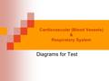 Cardiovascular (Blood Vessels) & Respiratory System Diagrams for Test.