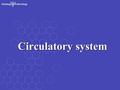 Circulatory system. General outline Blood vascular system (cardiovascular system)Blood vascular system (cardiovascular system) Lymphatic vascular systemLymphatic.