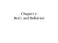 Chapter 2 Brain and Behavior. Neurons -the brain consists of some 100 billion neurons (individual nerve cells) which carry and process information, activate.