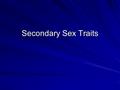 Secondary Sex Traits. Hormones – Proteins made in the brain and sex organs Hormones – Proteins made in the brain and sex organs.