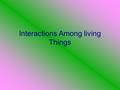 Interactions Among living Things. Natural selection Remember natural selection- individuals better suited for environment will survive and reproduce Adaptations-