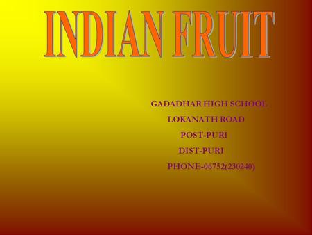 GADADHAR HIGH SCHOOL LOKANATH ROAD POST-PURI DIST-PURI PHONE-06752(230240)