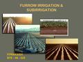 FURROW IRRIGATION & SUBIRRIGATION P.PRAKASH BTE - 06 - 025.