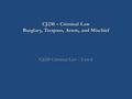 CJ230 – Criminal Law Burglary, Trespass, Arson, and Mischief CJ230 Criminal Law – Unit 8.