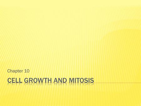 Chapter 10. 1. Too many demands on DNA  DNA is the instruction set for proteins  The larger the cell is, the more proteins need to be made to operate.