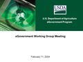 U.S. Department of Agriculture eGovernment Program eGovernment Working Group Meeting February 11, 2004.