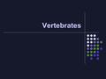 Vertebrates. Animals with backbones Brains encased in a skull Closed circulatory systems Veins and arteries to transport blood.