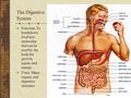 The Digestive System Function: To breakdown food into molecules that can be used by the body for growth, repair, and energy. Form: Many organs, and digestive.