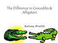 The Difference in Crocodiles & Alligators Kelsey Pruitt.