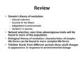 Review Darwin’s theory of evolution: – Natural selection – Survival of the fittest – Adaptation to environment – Variation in species Natural selection: