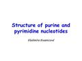 Structure of purine and pyrimidine nucleotides Vladimíra Kvasnicová.