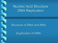 Nucleic Acid Structure DNA Replication Structure of DNA and RNA Duplication of DNA.