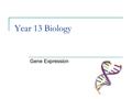 Year 13 Biology Gene Expression. CELL ULTRA-STRUCTURE Cells can be divided into two general types  The prokaryotes (before the nucleus)  The eukaryotes.