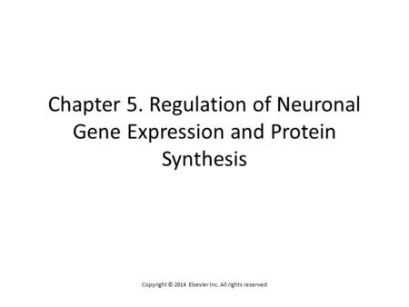 Chapter 5. Regulation of Neuronal Gene Expression and Protein Synthesis Copyright © 2014 Elsevier Inc. All rights reserved.