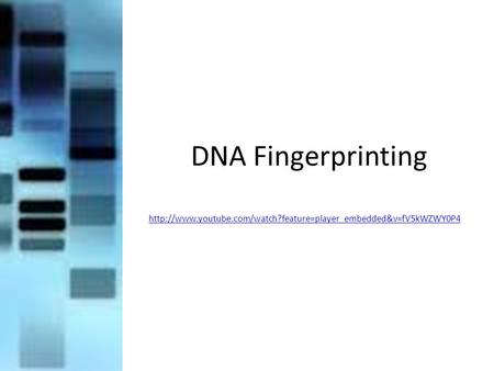 DNA Fingerprinting