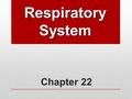 Chapter 22 Respiratory System. Human Respiratory System Functions: Works closely with circulatory system, exchanging gases between air and blood: Takes.