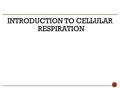 INTRODUCTION TO CELLULAR RESPIRATION.  Energy is necessary for life processes (growth, transport, manufacture, movement, reproduction, etc.)  Energy.