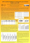 SiRNA-mediated inhibition of antiapoptotic genes in human bladder cancer cells siRNA-mediated inhibition of antiapoptotic genes in human bladder cancer.