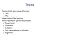 Topics  Nucleic Acids: structure and function  DNA  RNA  Organization of the genome  Protein Synthesis (genetic expression)  Transcription  Translation.