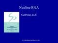 ©C. Allen Black; SunPillar, LLC 2002 Nucline RNA SunPillar, LLC.