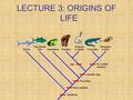 LECTURE 3: ORIGINS OF LIFE. STUDY THIS PICTURE !