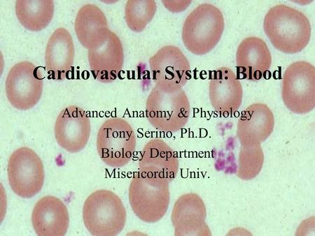 Cardiovascular System: Blood Advanced Anatomy & Physiology Tony Serino, Ph.D. Biology Department Misericordia Univ.