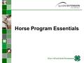 Horse Program Essentials Texas 4-H and Youth Development.