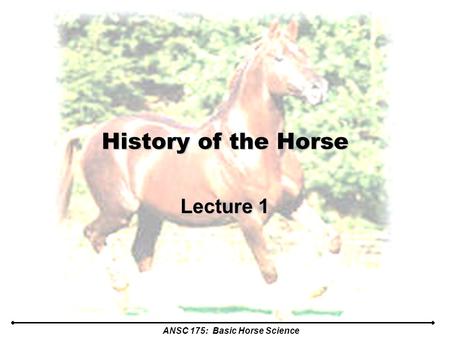 ANSC 175: Basic Horse Science History of the Horse Lecture 1.